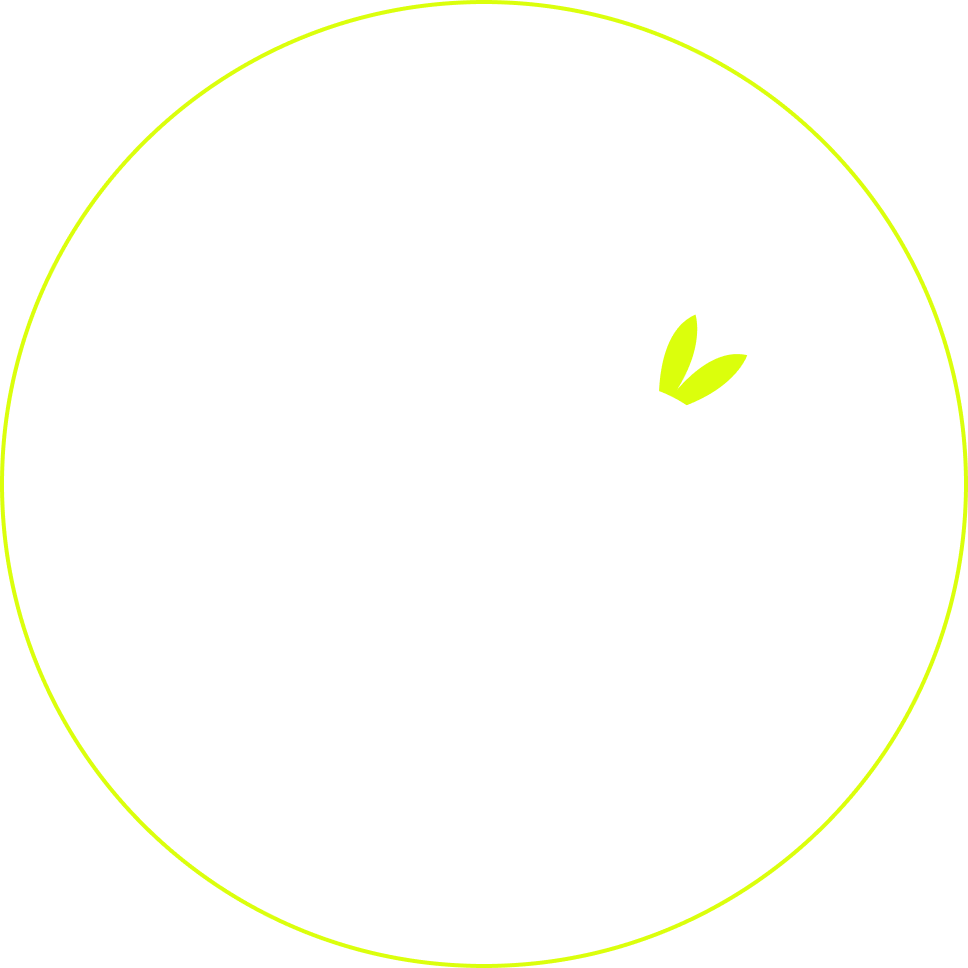 Logo Bamboo